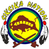 Siksika logo 100x100